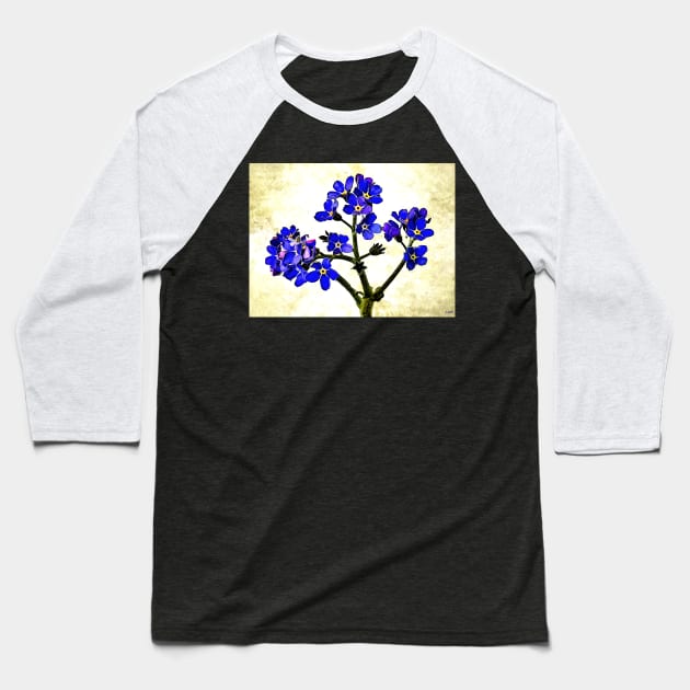 Forget Me Not Baseball T-Shirt by danieljanda